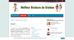 Desktop Screenshot of phen375-france.com
